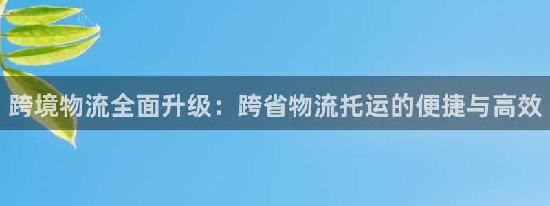 28圈官网网站：跨境物流全面升级：跨