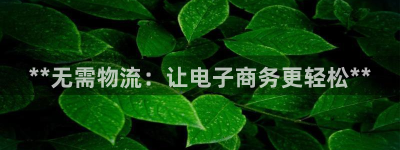 28圈电子游戏:**无需物流:让电子