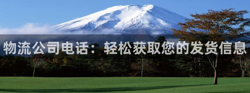 28圈相信品牌的力量:物流公司电话: