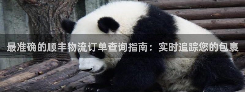 28圈注册网站多少:最准确的顺丰物流