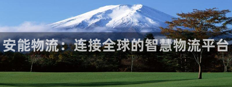 28圈官方官网版:安能物流:连接全球