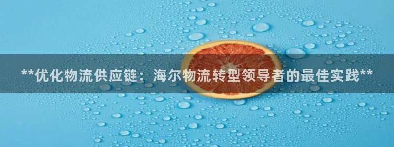 28圈p扣除是什么意思:**优化物流