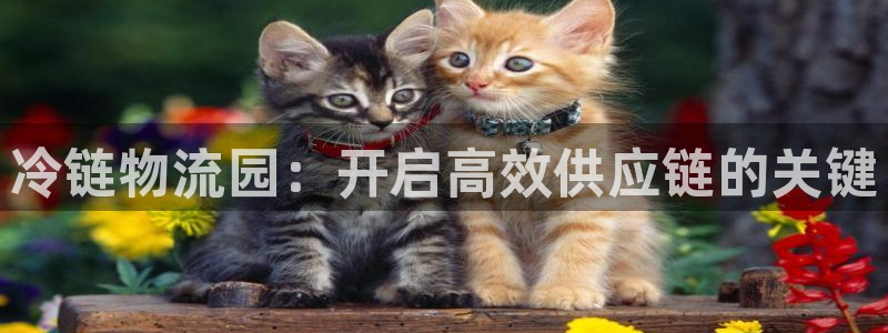 28圈推广链接是多少钱一个:冷链物流