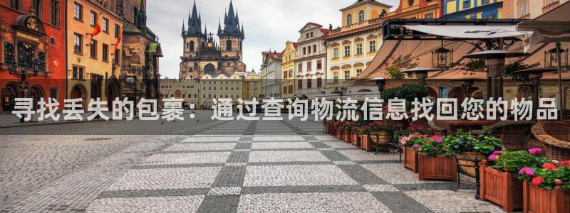 28圈注册平台：寻找丢失的包裹：通过