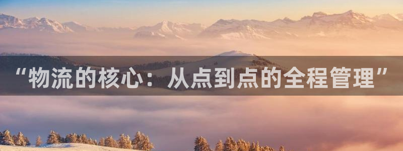 28圈推广链接是多少钱一个：“物流的