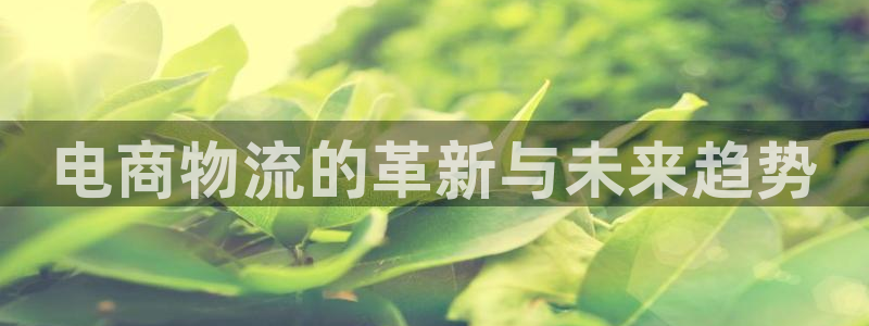 28圈官网网站：电商物流的革新与未来