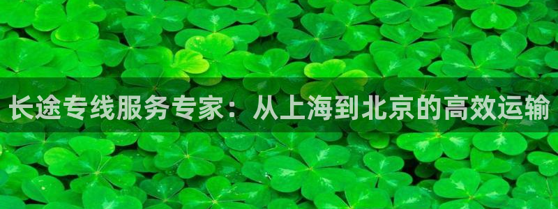 28圈加拿大官网：长途专线服务专家：