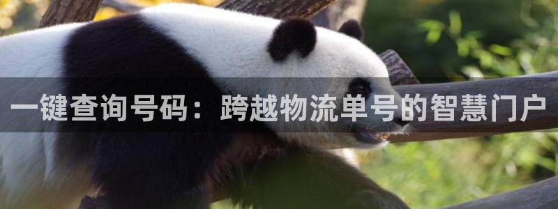 28圈模拟器下载：一键查询号码：跨越