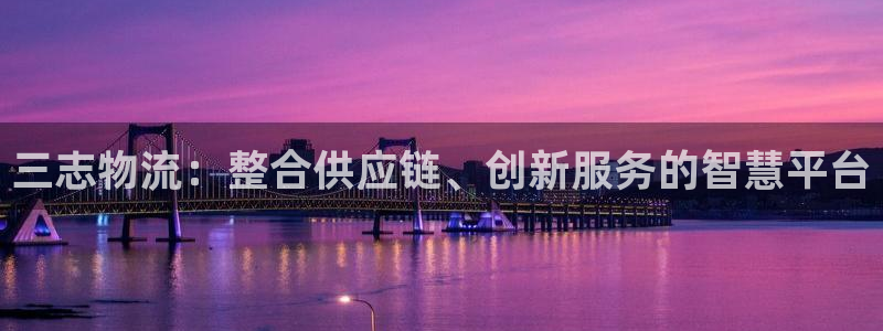 28圈怎么注册游戏名字：三志物流：整