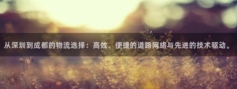 28圈可靠吗：从深圳到成都的物流选择