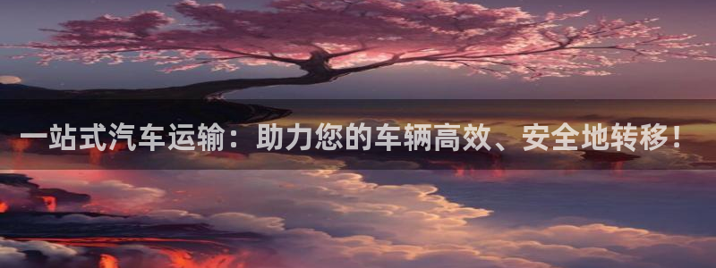 28圈注册网站多少钱：一站式汽车运输