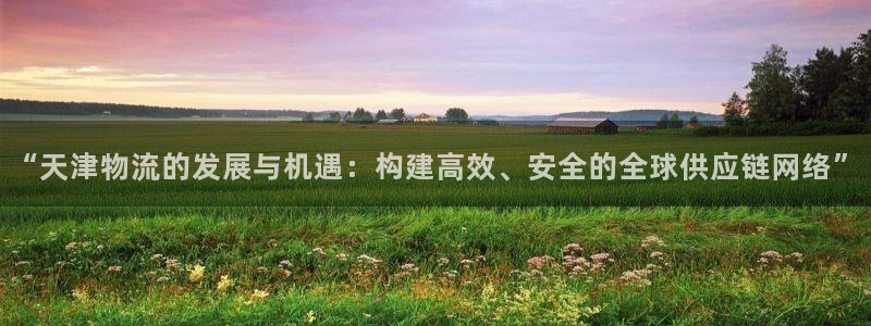 28圈cn：“天津物流的发展与机遇：