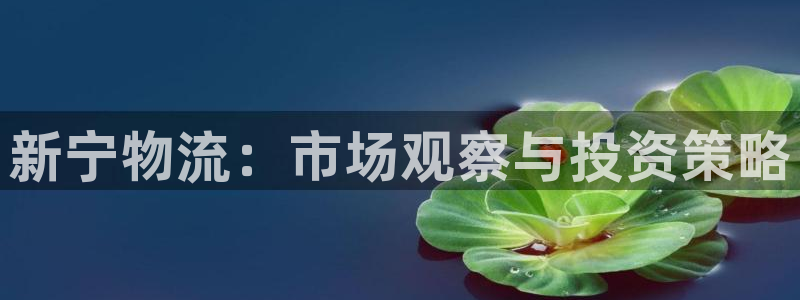 28圈充值不到账怎么回事：新宁物流：