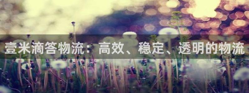 28圈开奖预测：壹米滴答物流：高效、