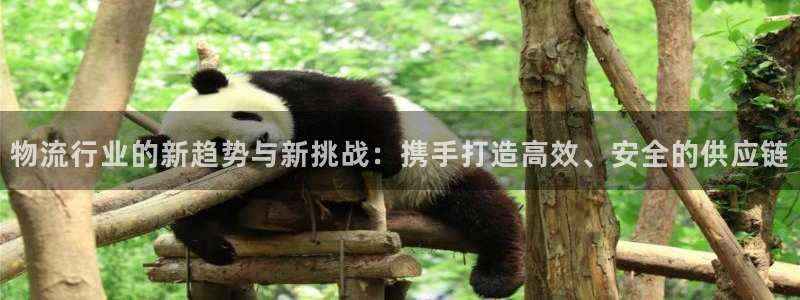 28圈官网下载链接是什么网站：物流行