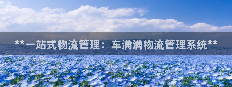 28圈加拿大在线预测：**一站式物流