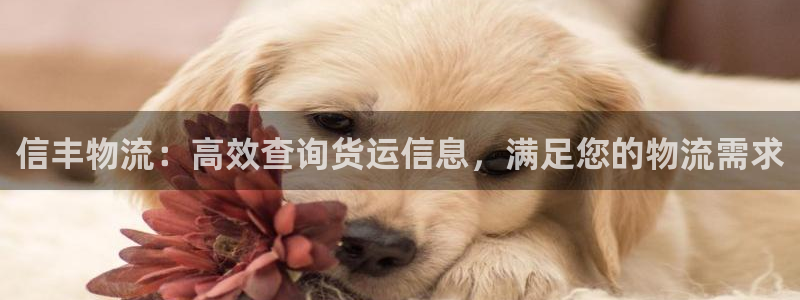 28圈aPP退款:信丰物流:高效查询