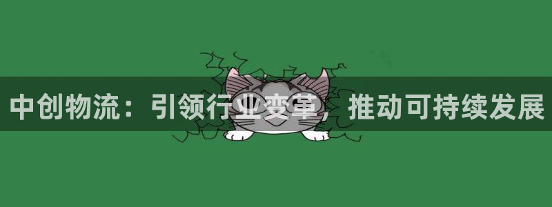 自行车28圈是什么意思：中创物流：引