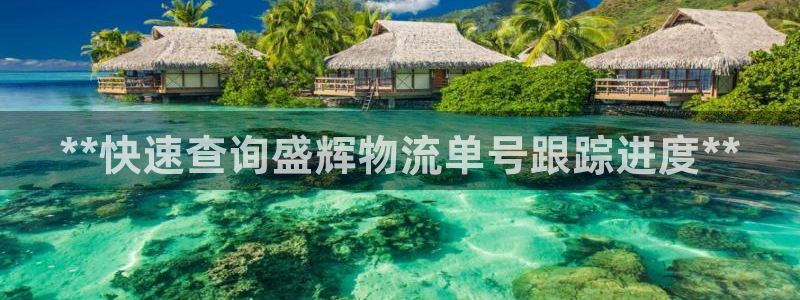 28圈模拟器在线玩：**快速查询盛辉