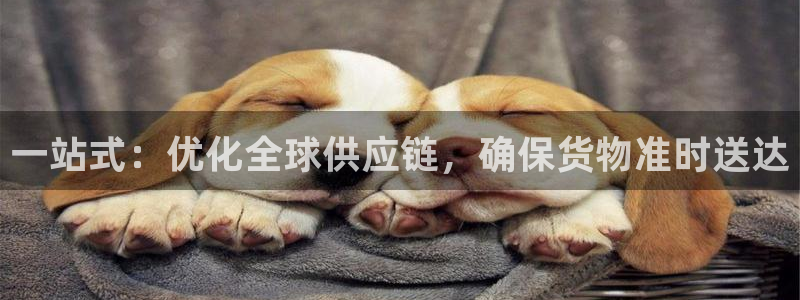 28圈官方平台:一站式:优化全球供应
