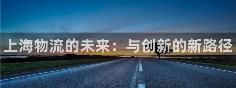 28圈注册网站多少：上海物流的未来：