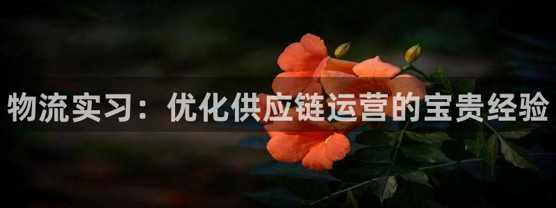 28圈登录：物流实习：优化供应链运营