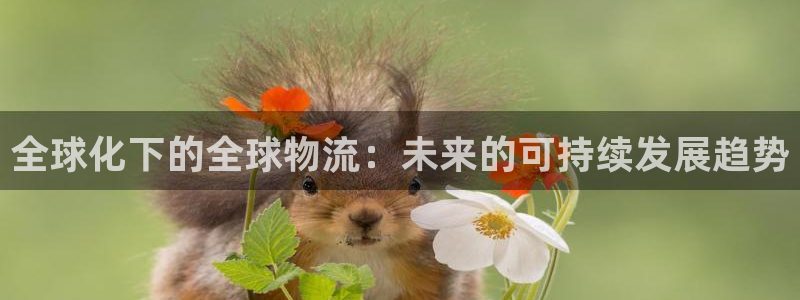 28圈怎么注册下载：全球化下的全球物