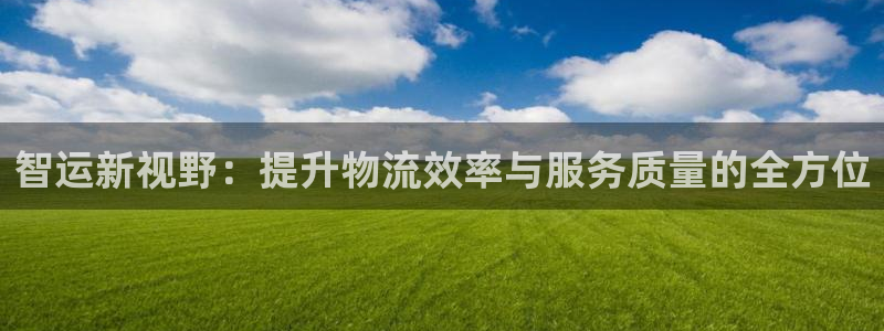 28圈注册网页：智运新视野：提升物流效率与服务质量的全方位