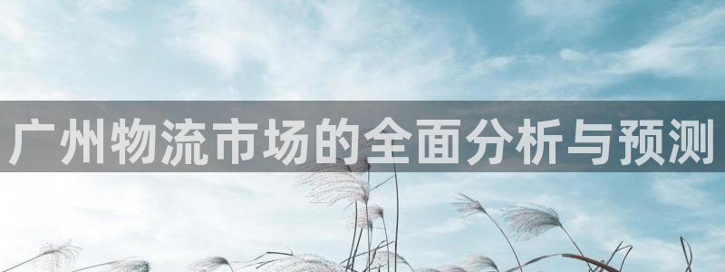 28圈游戏官网平台