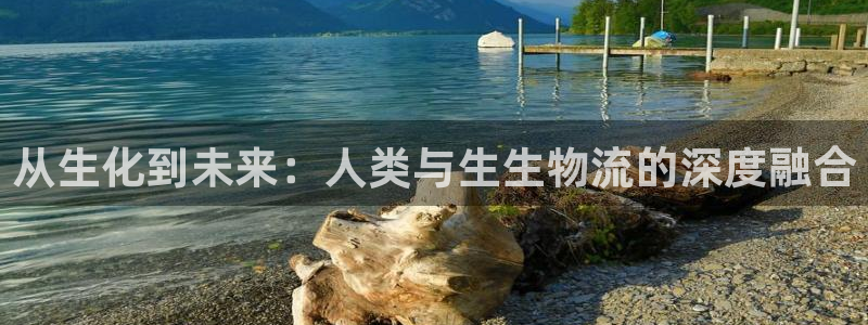 28圈游戏官网版：从生化到未来：人类与生生物流的深度融合