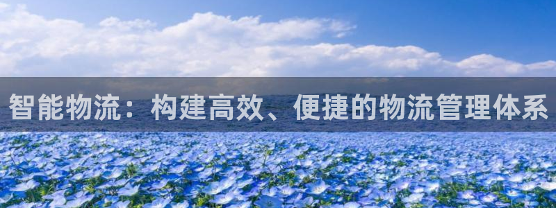 28圈加拿大：智能物流：构建高效、便捷的物流管理体系
