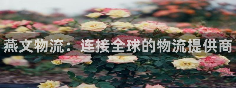 自行车28圈是什么意思