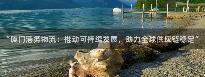 28圈充值不到账什么原因：“厦门港务物流：推动可持续发展，助