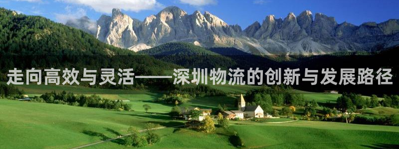 28圈登录不上咋回事：走向高效与灵活——深圳物流的创新与发展