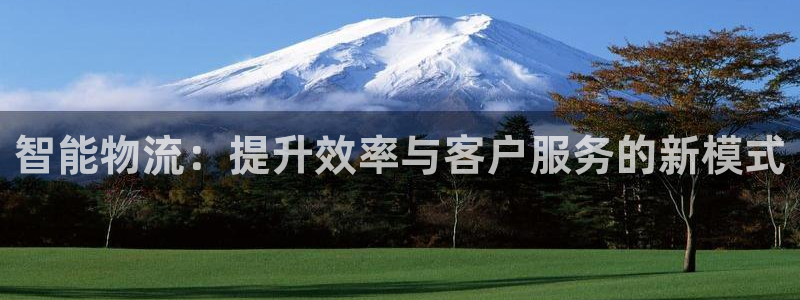 28圈账号注册：智能物流：提升效率与客户服务的新模式