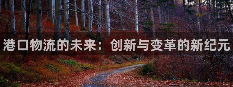 28圈注册过了警察知道吗：港口物流的未来：创新与变革的新纪元