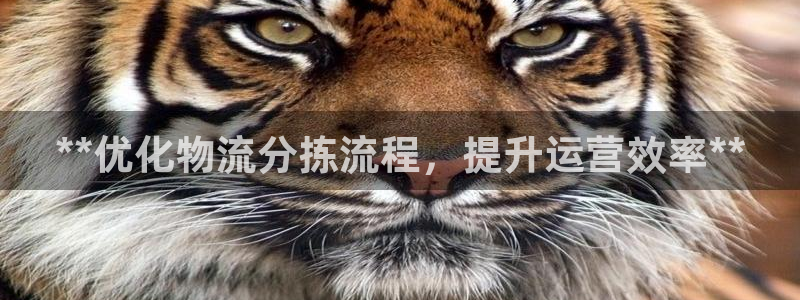 28圈机器人是什么软件：**优化物流分拣流程，提升运营效率*