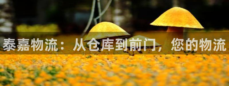 28圈系统自动保护：泰嘉物流：从仓库到前门，您的物流