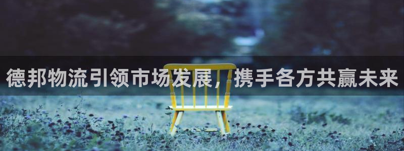 28圈注册号：德邦物流引领市场发展，携手各方共赢未来