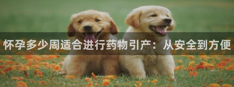 28圈预测网：怀孕多少周适合进行药物引产：从安全到方便